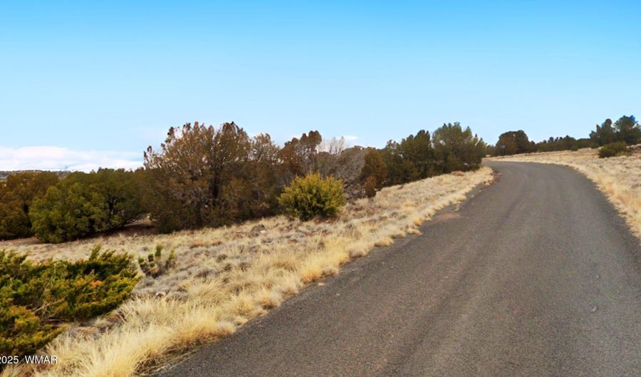 83 County Road 5083, Concho, AZ 85924 - 0 Beds, 0 Bath