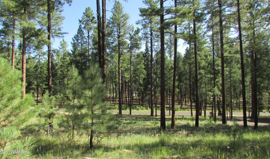8 CR 2194, Alpine, AZ 85920 - 0 Beds, 0 Bath