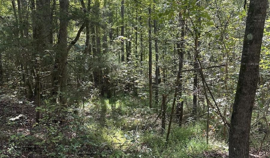 Mule Pulling Road, Pontotoc, MS 38863 - 0 Beds, 0 Bath