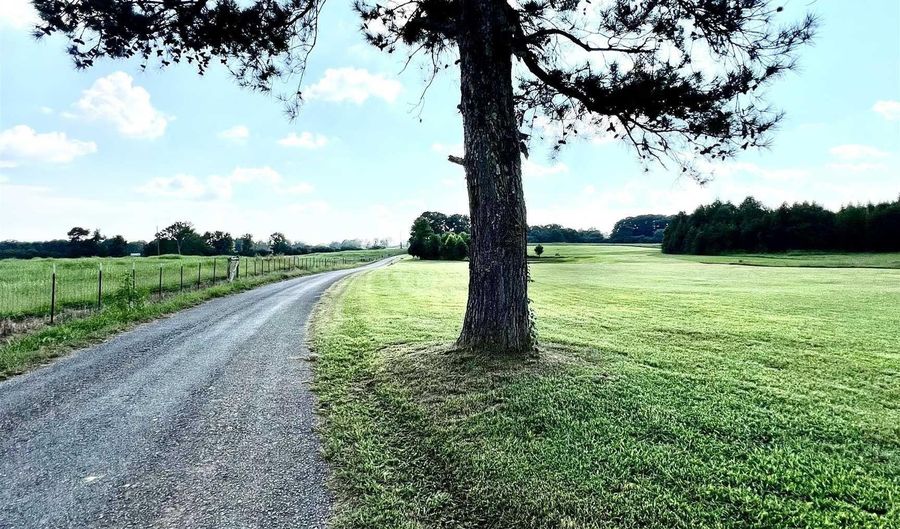 0 BAILEY Rd, Baileyton, AL 35019 - 0 Beds, 0 Bath