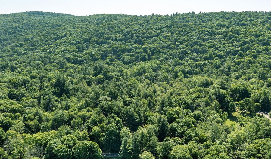 Great Hollow Road, Cornwall, CT 06753 - 0 Beds, 0 Bath