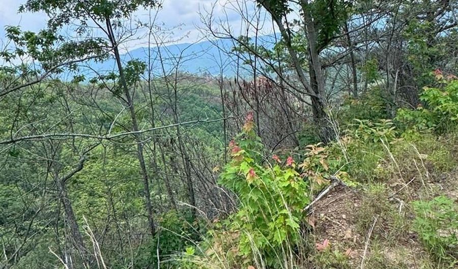 88 Acres Bolden Br, Andrews, NC 28901 - 0 Beds, 0 Bath