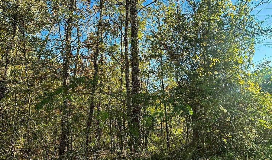 11 SE Wilson St, Attalla, AL 35954 - 0 Beds, 0 Bath