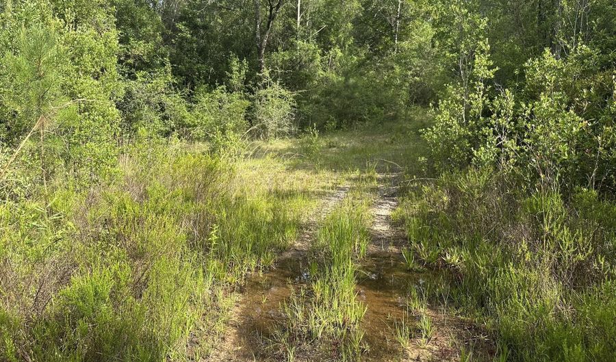 Parcel A Old River Road, Baker, FL 32531 - 0 Beds, 0 Bath