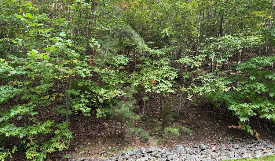 1029 Chippawa Dr 67, Arden, NC 28704 - 0 Beds, 0 Bath