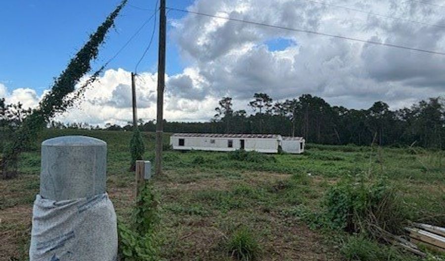 323 Eastman Paulk Rd, Ambrose, GA 31512 - 0 Beds, 0 Bath
