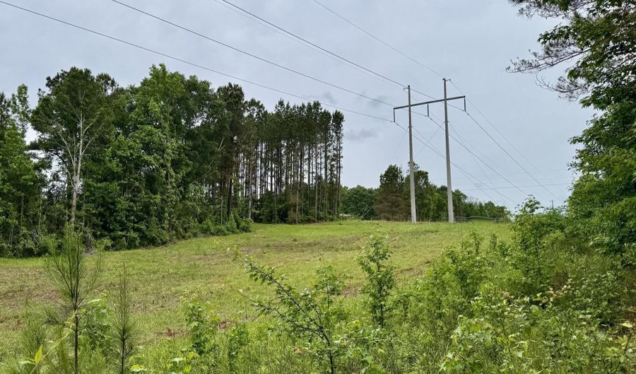0010 Mount Carmel Road Rd, Bailey, MS 39320 - 0 Beds, 0 Bath