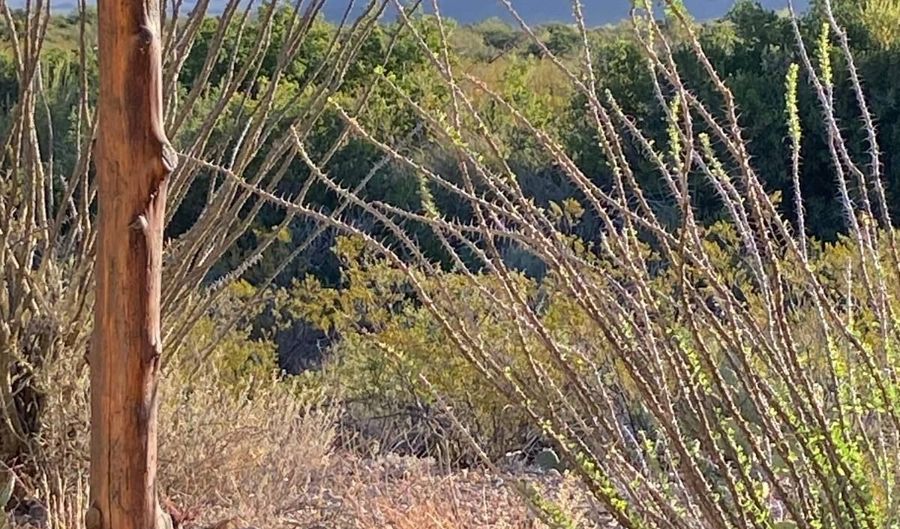 200 Lake Ament Rd, Alpine, TX 79830 - 2 Beds, 1 Bath
