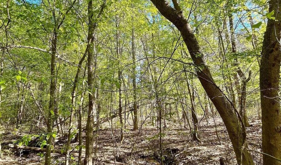 LANDFILL ROAD lot 1, Ashland, AL 36251 - 0 Beds, 0 Bath