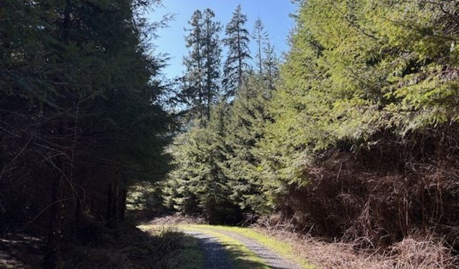 Steer Creek Rd, Blodgett, OR 97326 - 0 Beds, 0 Bath