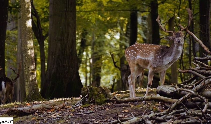 00 Horseshoe Rd, Abbeville, SC 29655 - 0 Beds, 0 Bath