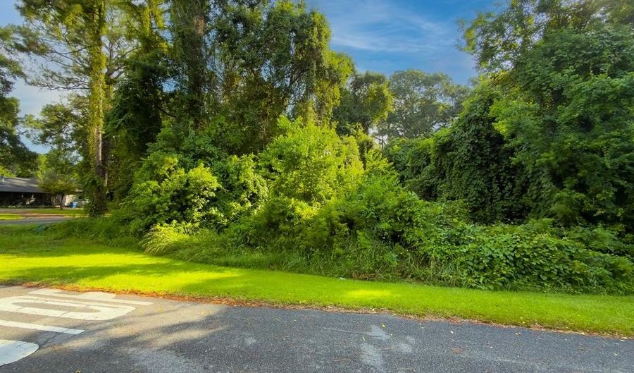 237 Jacobie O'neil Ln, Apalachicola, FL 32320 - 0 Beds, 0 Bath