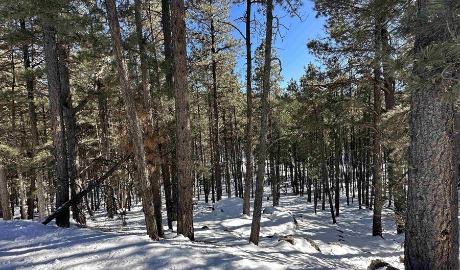 Lot 60 San Andres Dr, Angel Fire, NM 87710 - 0 Beds, 0 Bath