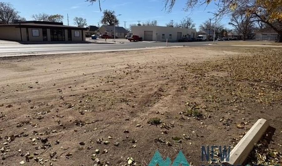 214 S Alameda St, Carlsbad, NM 88220 - 0 Beds, 0 Bath