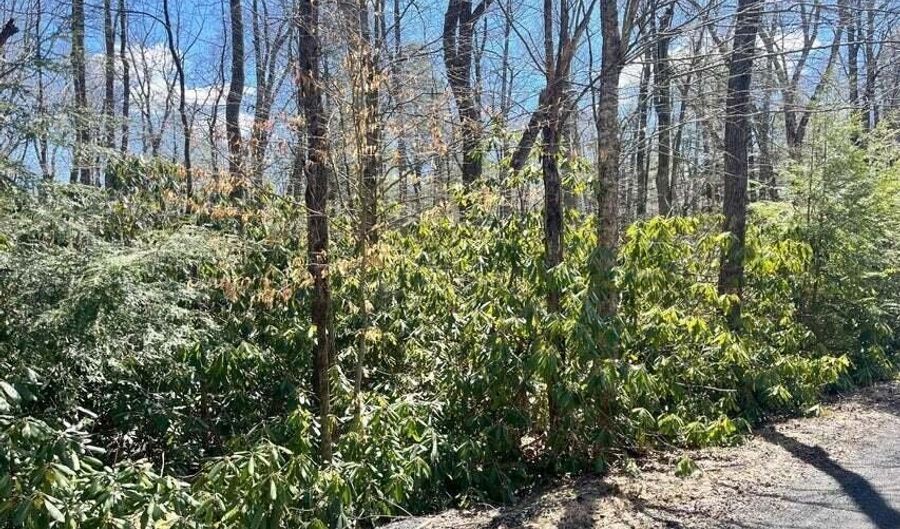 C475 Treetop Lane, Albrightsville, PA 18210 - 0 Beds, 0 Bath