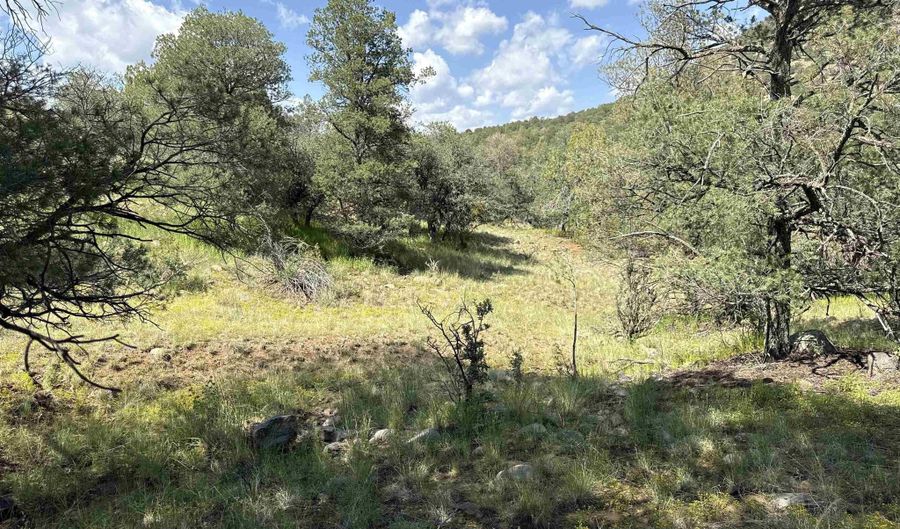 XY Black Dog Road, Silver City, NM 88061 - 0 Beds, 0 Bath