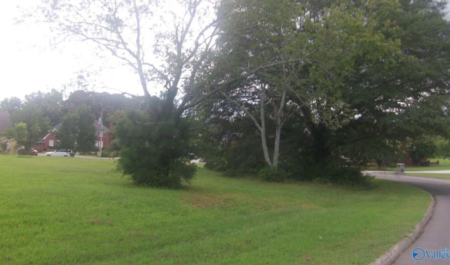 1111 Bentbrook Dr, Albertville, AL 35950 - 0 Beds, 0 Bath