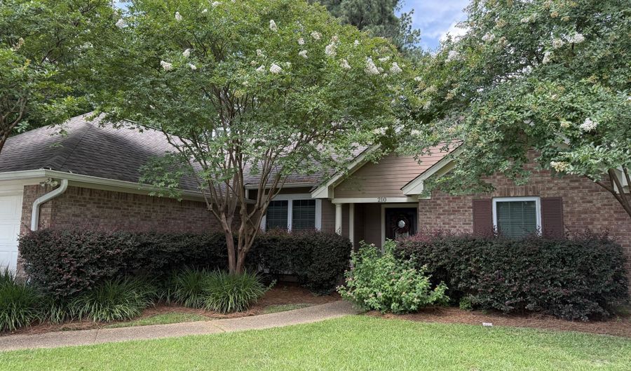 210 Laurel Oak Cv, Brandon, MS 39047 - 3 Beds, 2 Bath