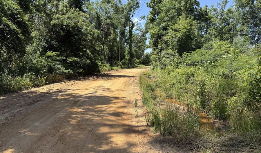 Lot # 2 - 6.2 Ac Perry Horton, Adrian, GA 31002 - 0 Beds, 0 Bath