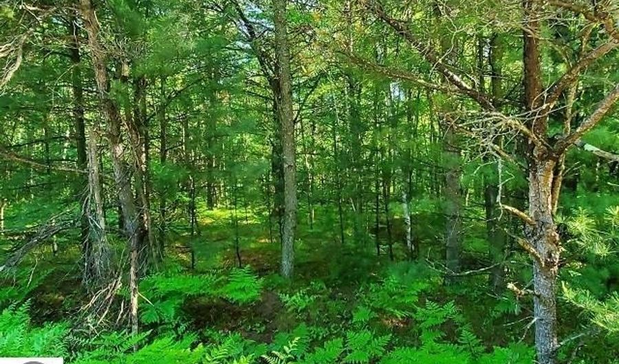 Hillside Drive lot 62, Alger, MI 48610 - 0 Beds, 0 Bath
