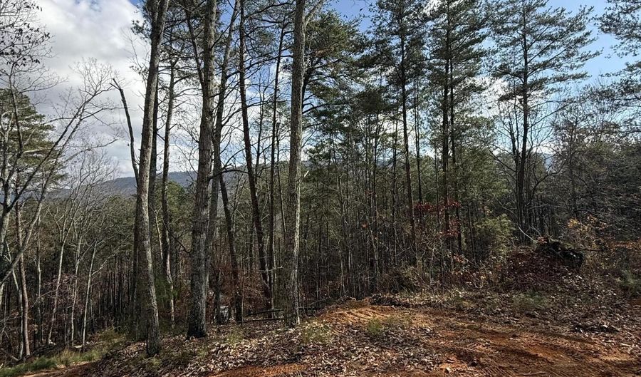 Parksville Road lot 1, Benton, TN 37307 - 0 Beds, 0 Bath