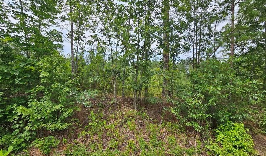 671 Penlan Rd Lot 1, Arvonia, VA 23004 - 0 Beds, 0 Bath