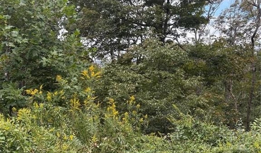 Tdb Nettles Ridge Road, Banner Elk, NC 28604 - 0 Beds, 0 Bath