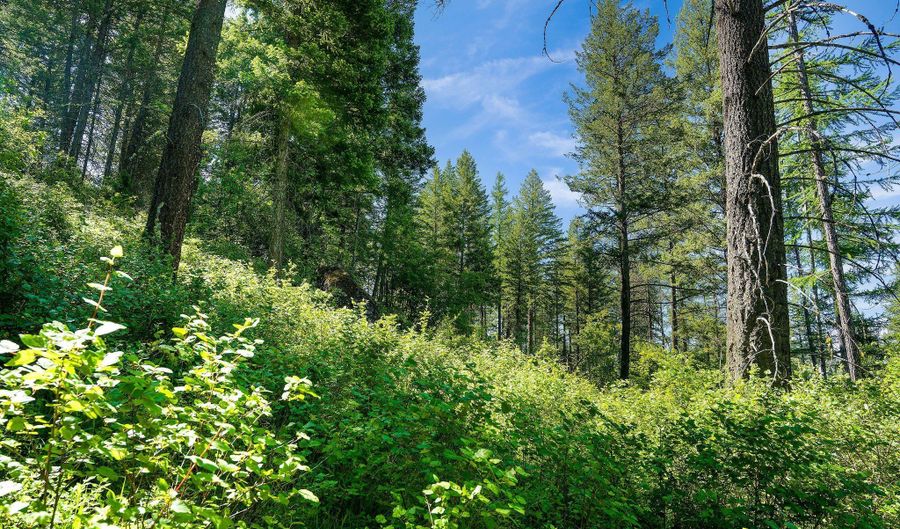 643 Saddlehorn Trl, Bigfork, MT 59911 - 0 Beds, 0 Bath