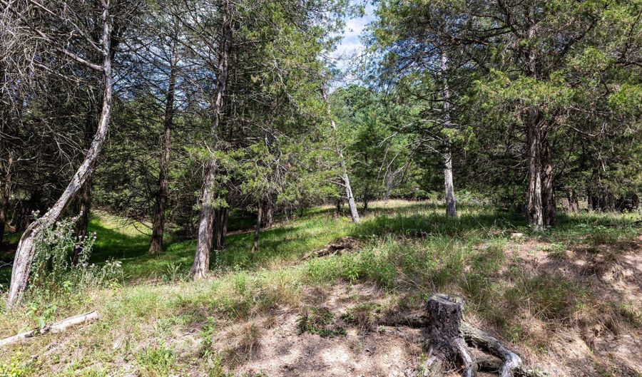 ALUM SPRINGS ROAD, Basye, VA 22810 - 0 Beds, 0 Bath