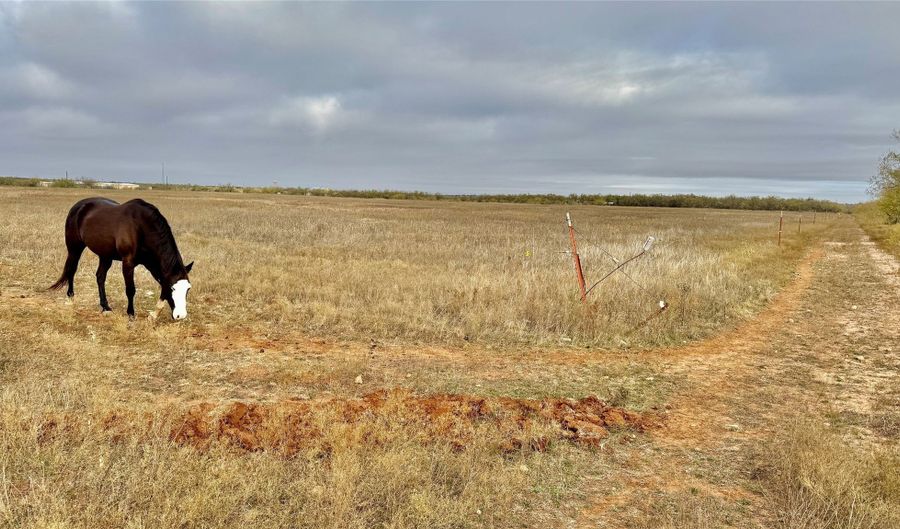 Iberis Road, Abilene, TX 79606 - 0 Beds, 0 Bath