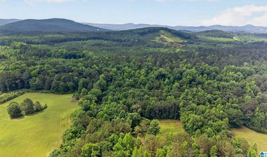 930 ANNISTON BEACH Rd Lot 0, Anniston, AL 36206 - 0 Beds, 0 Bath