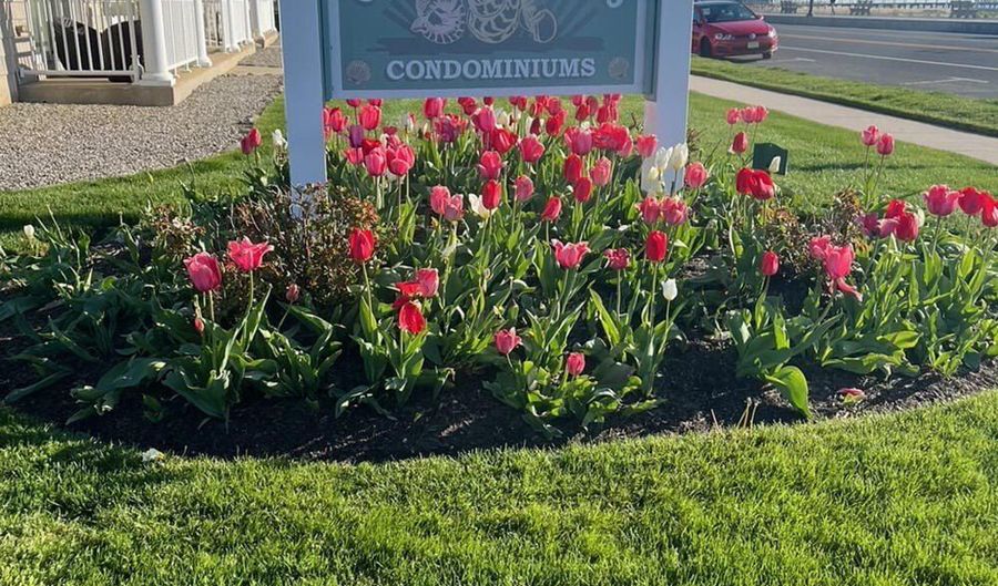 205 Ocean Ave, Belmar, NJ 07719 - 1 Beds, 1 Bath