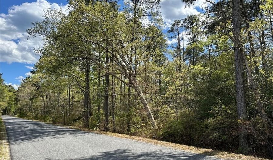 00 Briery Swamp Rd, Jamaica, VA 23079 - 0 Beds, 0 Bath