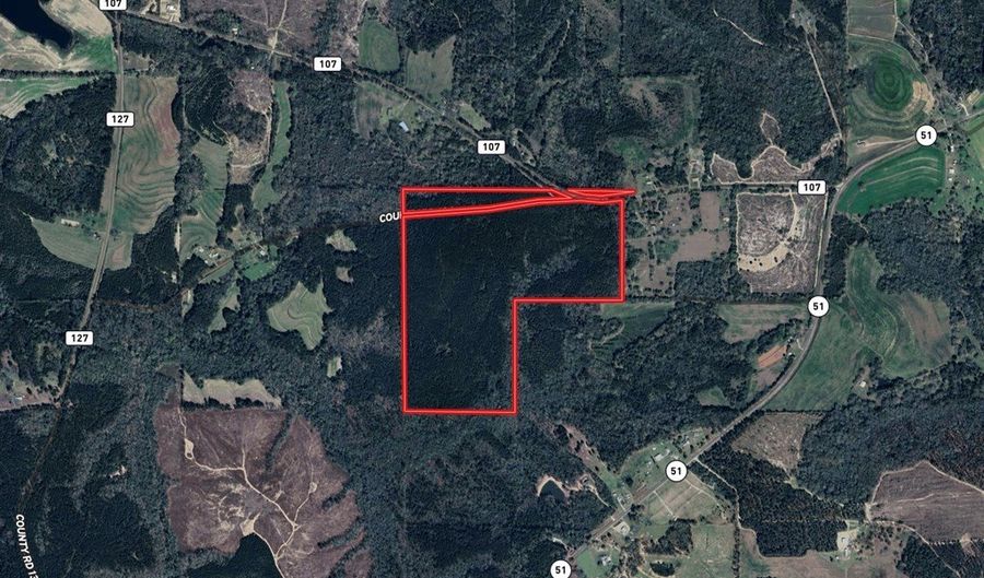 00 County Road 107, Ariton, AL 36311 - 0 Beds, 0 Bath
