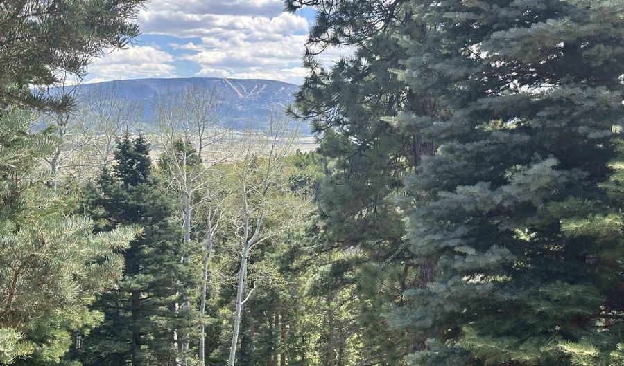 Lot 91ab Pam Coleman Drive, Angel Fire, NM 87710 - 0 Beds, 0 Bath