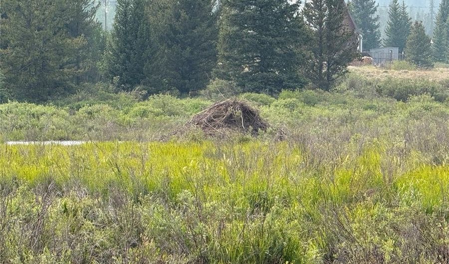 140 Kootchie Kootchie Rd Lot 30, Alma, CO 80440 - 0 Beds, 0 Bath