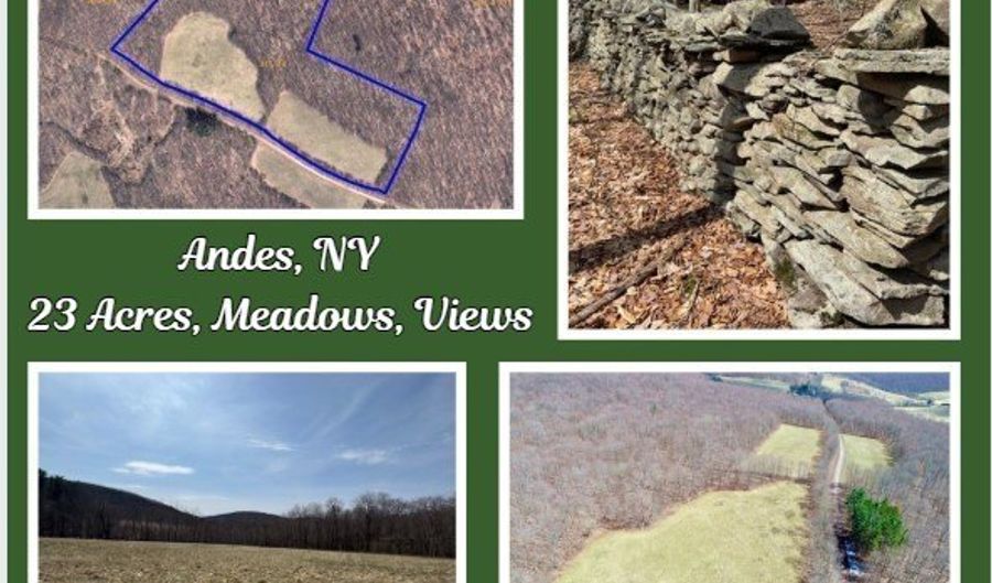 Lot 2 Doig Hollow Road, Andes, NY 13731 - 0 Beds, 0 Bath