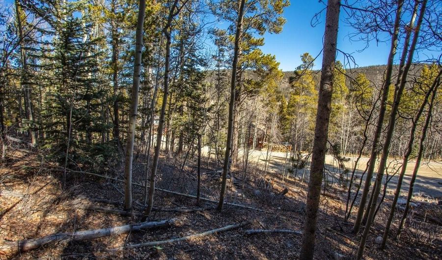 431 N Aspen St, Alma, CO 80420 - 0 Beds, 0 Bath