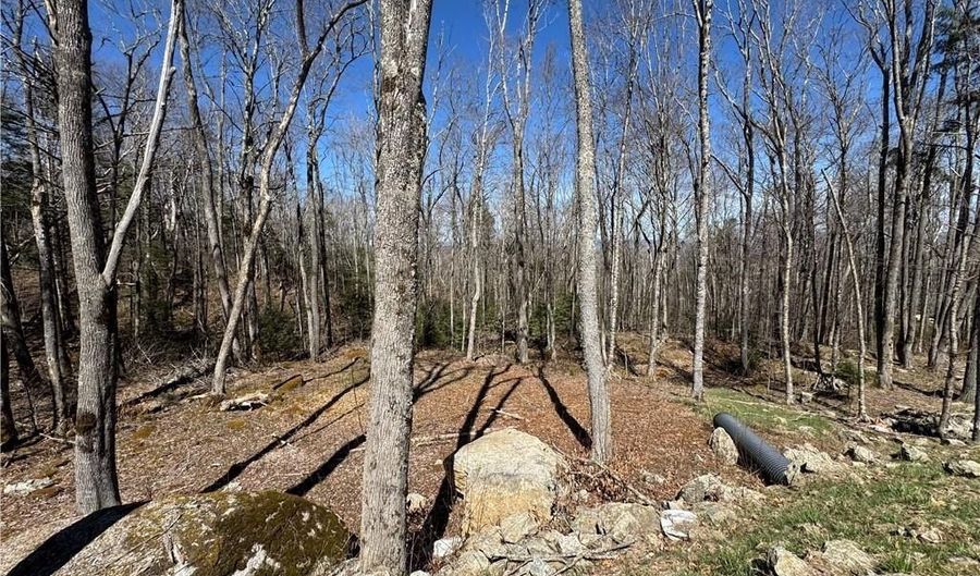 ES71 Twisted Oak Path, Banner Elk, NC 28604 - 0 Beds, 0 Bath