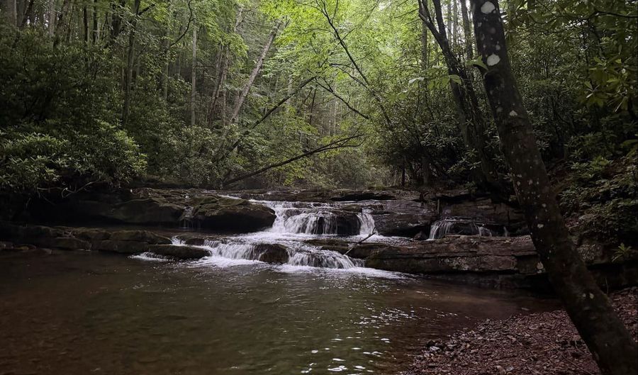 Tdb Cove Creek Rd, Bastian, VA 24314 - 0 Beds, 0 Bath