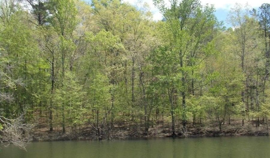 LOTS 2 & 3 WEST POINT DRIVE, Arley, AL 35541 - 0 Beds, 0 Bath