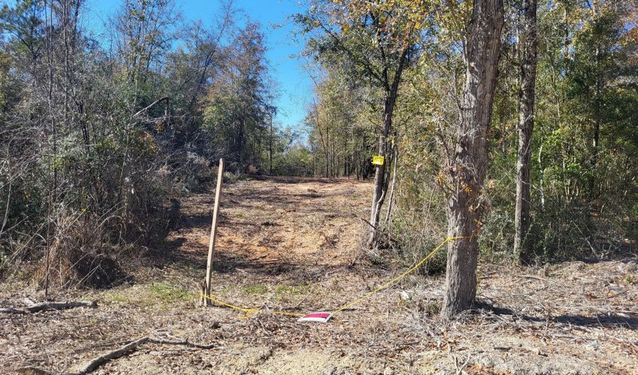 NW Womble Road lot 8, Altha, FL 32421 - 0 Beds, 0 Bath