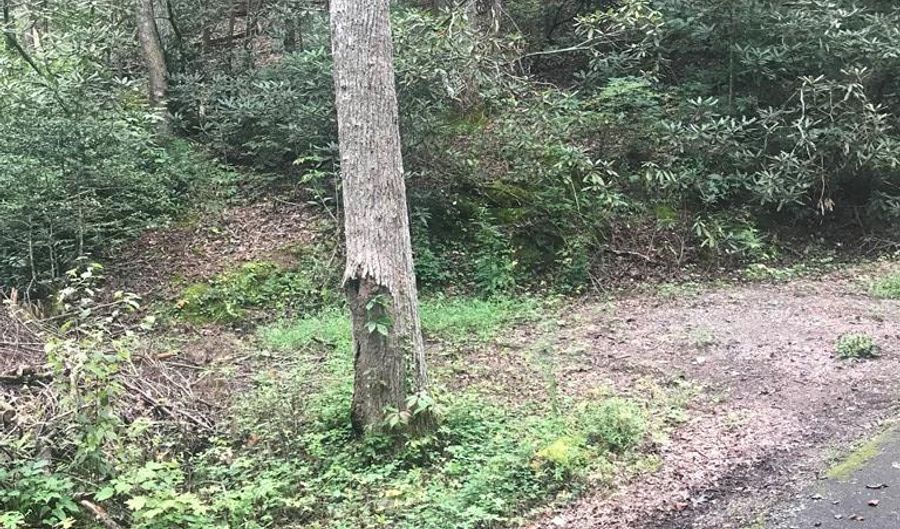 Lot 14 Cove Creek Dr, Sevierville, TN 37862 - 0 Beds, 0 Bath