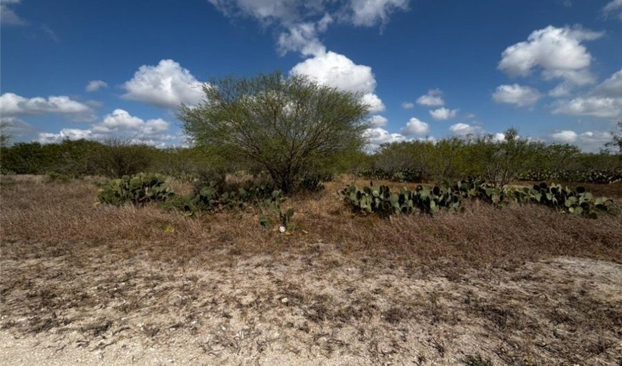 Fm-625 lot 0, Alice, TX 78332 - 0 Beds, 0 Bath