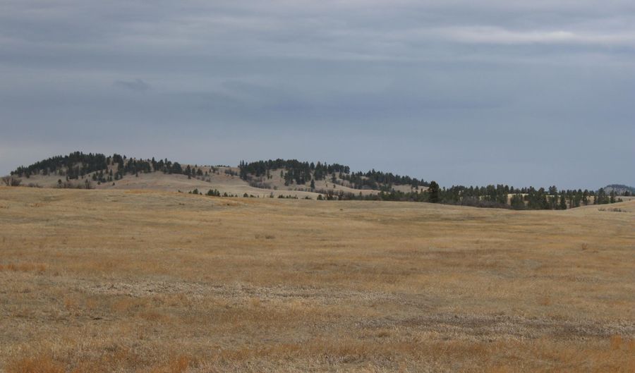Tract 7 Lone Elk Ranch, Alva, WY 82711 - 0 Beds, 0 Bath