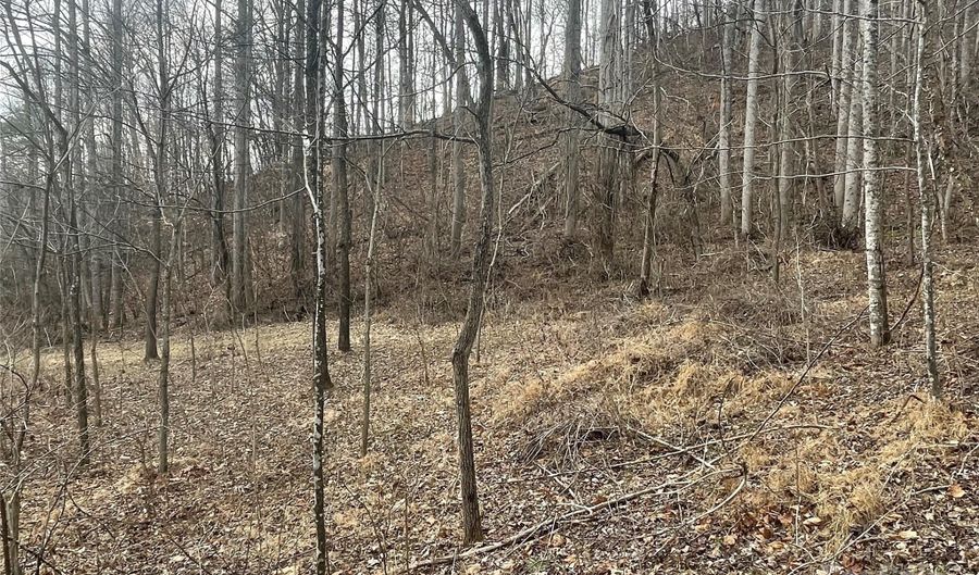 Martins Creek Road, Barnardsville, NC 28709 - 0 Beds, 0 Bath