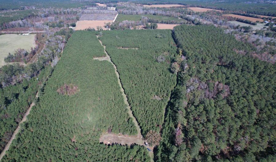 57 40 Acres-TBD Cades Rd, Cades, SC 29518 - 0 Beds, 0 Bath