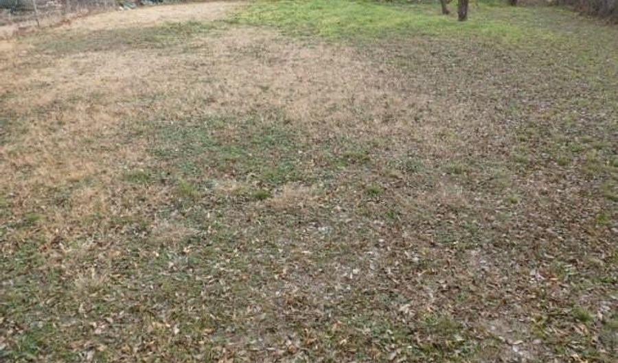 1325 Marshall St, Abilene, TX 79605 - 2 Beds, 1 Bath