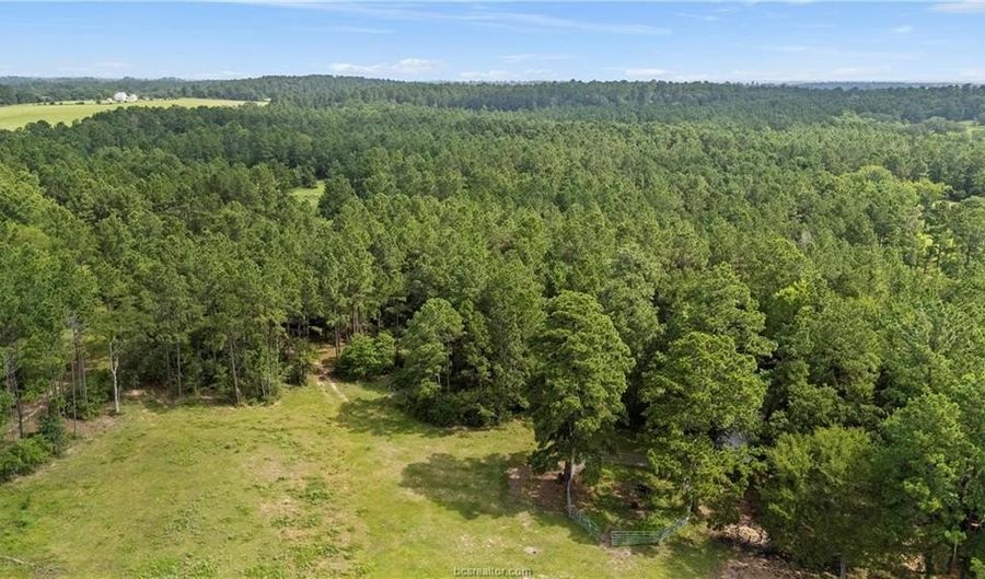 6779 County Road 215, Anderson, TX 77830 - 0 Beds, 0 Bath