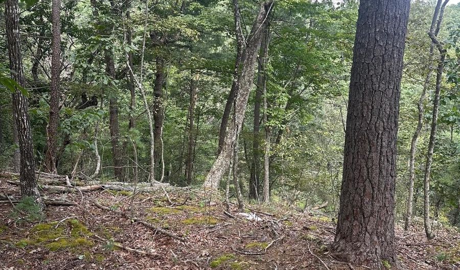 20 EWALLS RIDGE Rd, Basye, VA 22810 - 0 Beds, 0 Bath